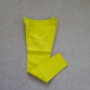 New York and company Audrey pant